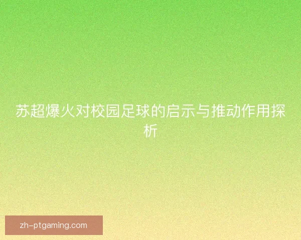 苏超爆火对校园足球的启示与推动作用探析
