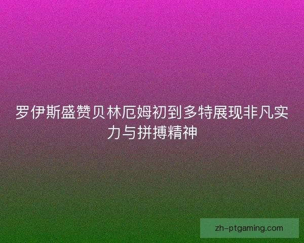 罗伊斯盛赞贝林厄姆初到多特展现非凡实力与拼搏精神